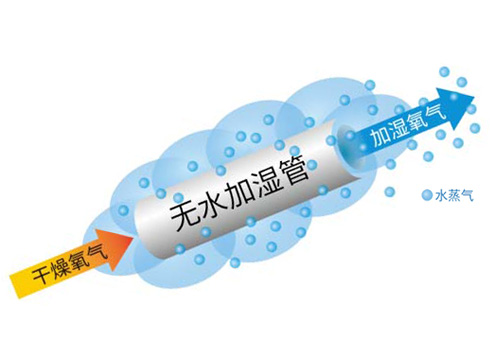 过滤过程